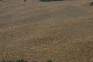 Val d'Orcia