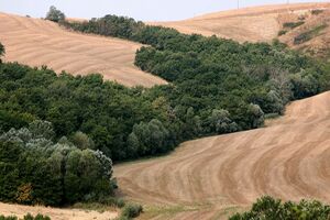 Val d'Orcia