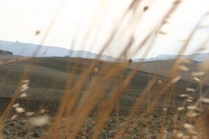 Val d'Orcia