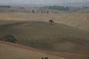 Val d'Orcia