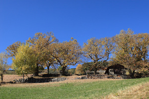 Autunno tra Tre Chiese e Barbiano