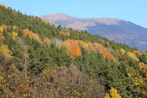 Autunno tra Tre Chiese e Barbiano