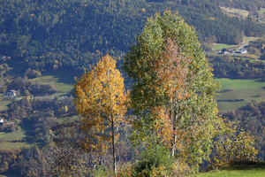 Autunno tra Tre Chiese e Barbiano