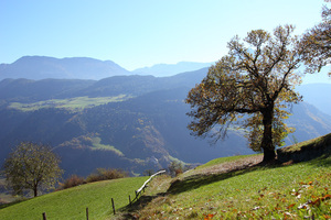 Autunno tra Tre Chiese e Barbiano