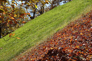 Autunno tra Tre Chiese e Barbiano