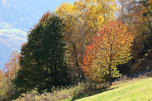 Autunno tra Tre Chiese e Barbiano