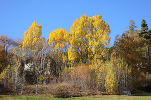 Autunno tra Tre Chiese e Barbiano