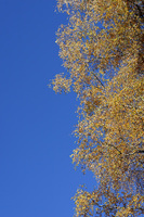 Autunno tra Tre Chiese e Barbiano