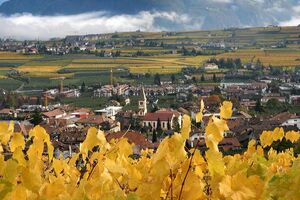 Appiano
