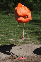 Zoologischer Garten (Zoo di Berlino)
