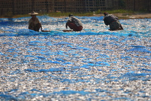 "L'industria" della pesca