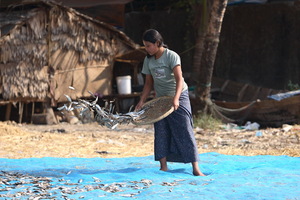 "L'industria" della pesca