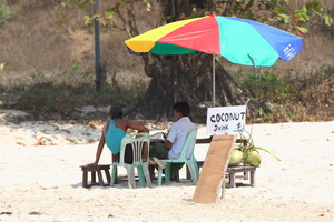 Coconut drink