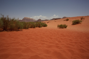 Wadi Rum