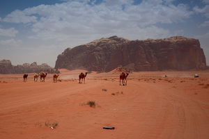 Wadi Rum