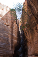 Petra, Siq