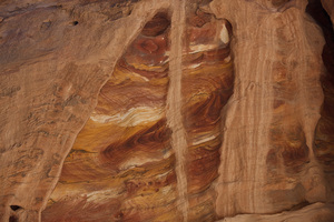 Arenaria Policroma