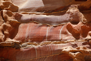 Arenaria Policroma
