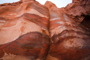 Arenaria Policroma