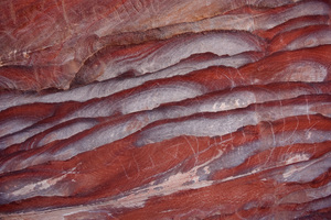 Arenaria Policroma