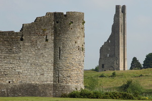 Trim Castle
