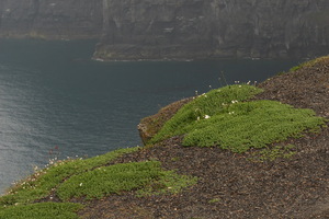 Cliffs of Moher