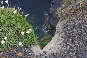 Cliffs of Moher