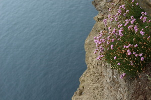 Cliffs of Moher