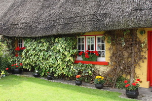Adare
