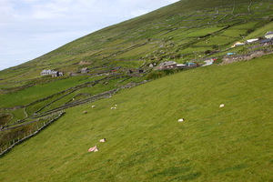 Penisola di Dingle
