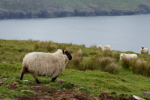 Valentia Island