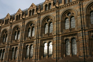 Natural History Museum