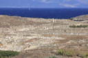 Delos