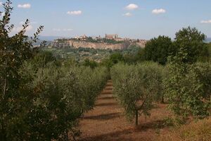 Orvieto