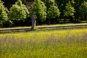 Villa Pisani - Parco