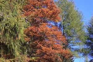 San Genesio - Altipiano del Salto