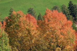 San Genesio - Altipiano del Salto
