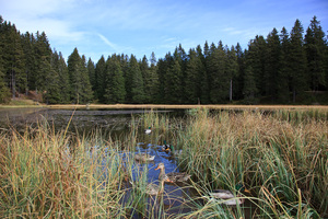Lago Nero - Schwarze Lacke