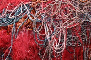 The Net