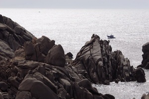 Capo Testa