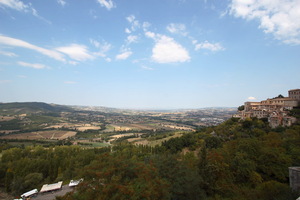 Todi