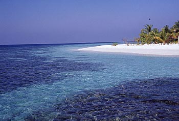 Maldive