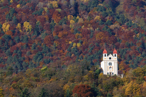 Another Autumn in Appiano