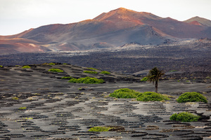 Lanzarote