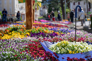 Merano Flower Festival