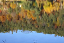 Monticolo - Riflessi d'autunno