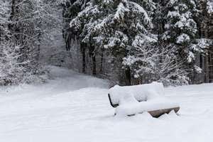 Ultimo e Primo dell'anno in mezzo alla neve