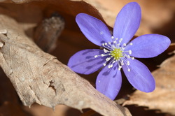 Val Primavera