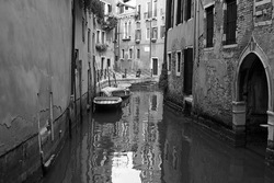 Venezia