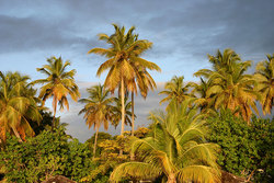 Antigua & Barbuda